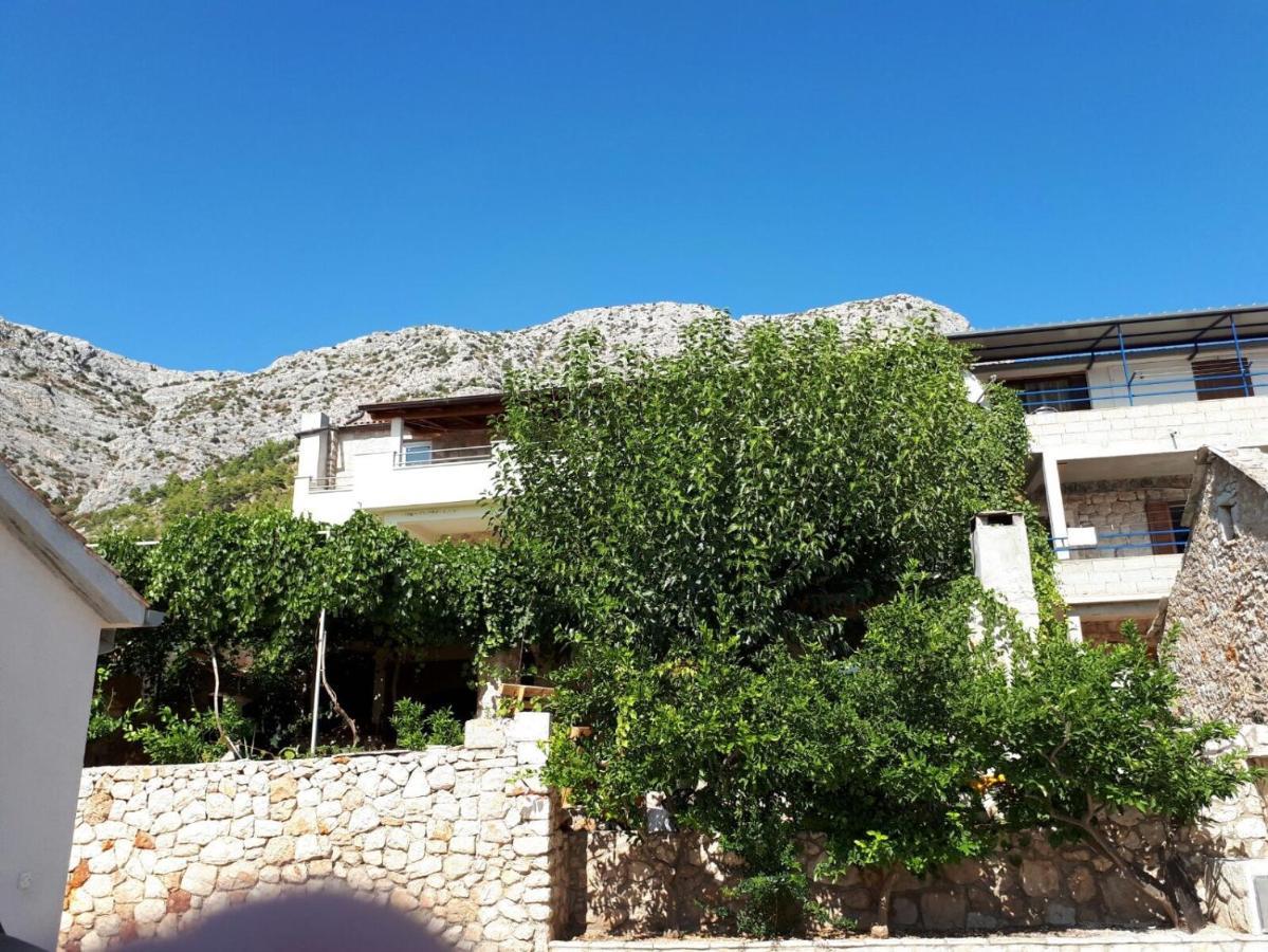 Apartments With A Parking Space Ivan Dolac, Hvar - 8753 מראה חיצוני תמונה